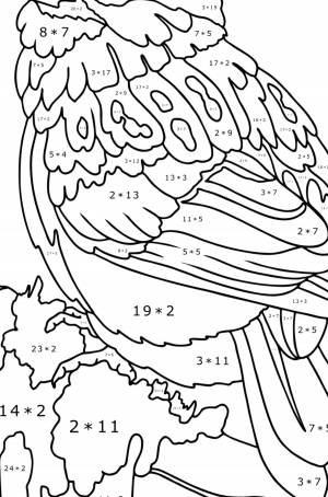 Раскраски математическая птица