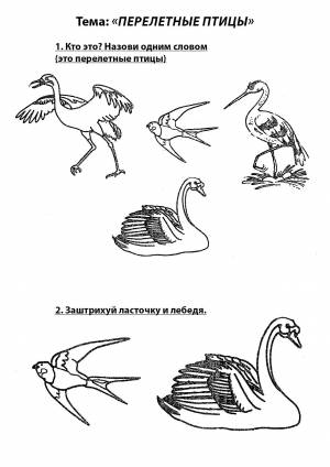 Перелетные птицы раскраски для дошкольников