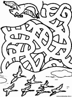 Домашнее задание на 2019-2020 учебный год по теме недели