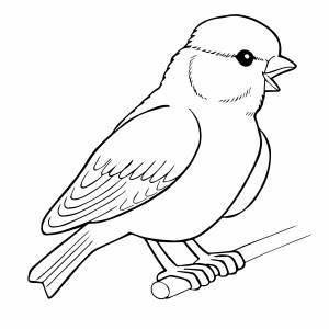 Раскраска воробей на ветке