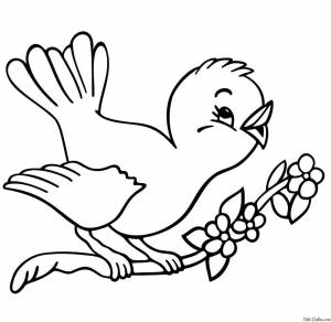 Раскраски Птицы, Раскраска Птицы на ветке весна