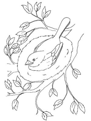 Раскраски Раскраска Птица в гнезде весна