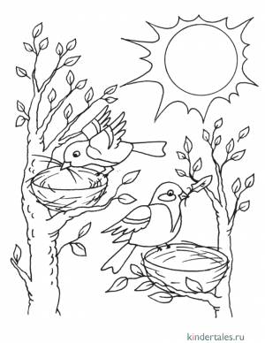 Птицы вьют гнезда» раскраска для детей
