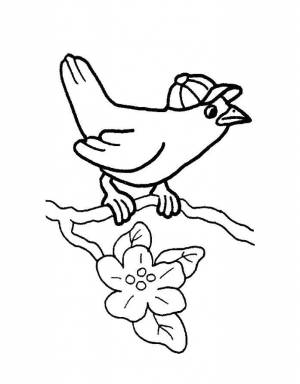 Раскраски Раскраска Птичка в кепочке весна птицы