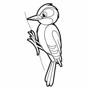 Раскраска Дятел на дереве