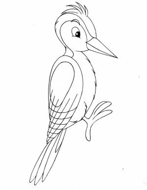 Раскраска дятел