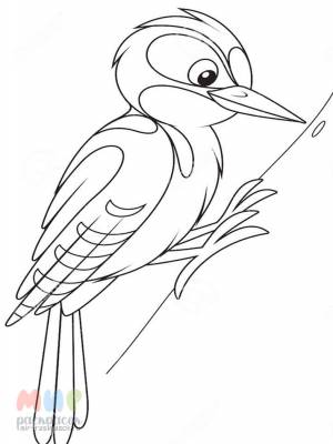 Раскраска Дятел