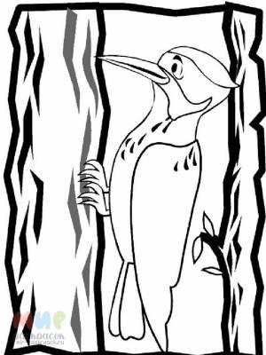 Раскраска Дятел дупло выбил