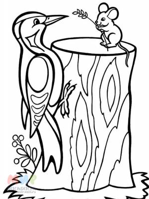 Раскраска Дятел дупло выбил