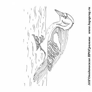 Картинки-раскраски на тему птицы