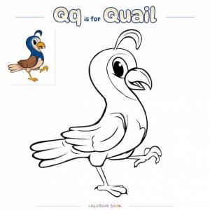 Раскраска страница перепела птица мультфильм