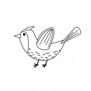 Мультяшная птица раскраски страницы черно-белая птица вектор