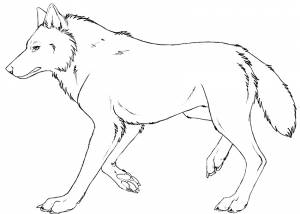 Раскраска Волк
