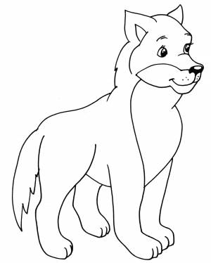 Раскраска Красивый волк