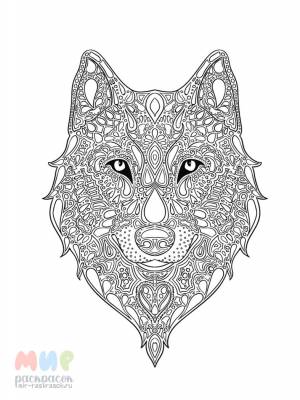 Раскраска Волк наелся и в лес смотрит