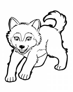 Раскраски Волк