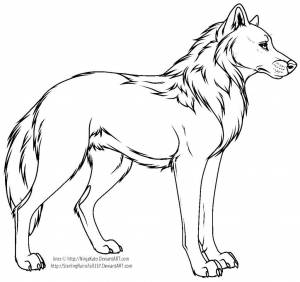 Раскраски лежащий волк