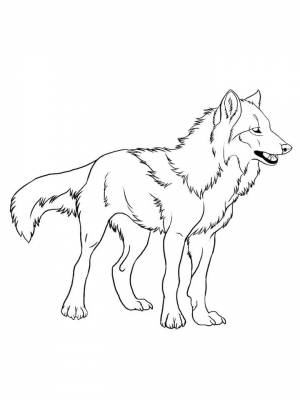 Картинка Волк раскраска в формате  для детей