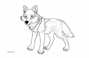Раскраски волка для детей