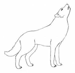 100 интересных рисунков волка для срисовки » Dosuga