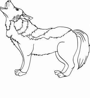 Раскраски волк злой