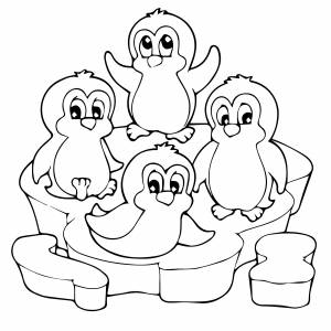 Маленькие пингвины