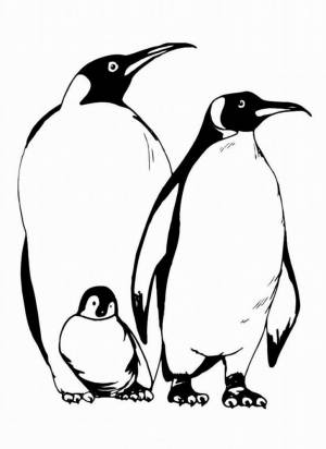 Adorable Penguin Coloring Pages for Kids