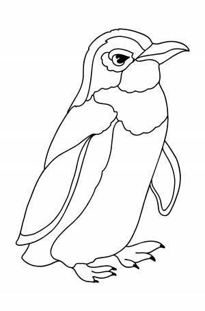 Раскраска Синий Пингвин ♥ Онлайн и !