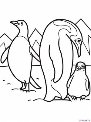 Раскраска пингвины