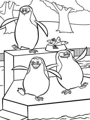 Раскраски пингвины, Раскраска Пингвины мадагаскара пингвин