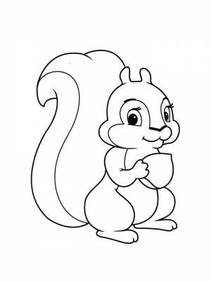 Раскраска Белка  листе  для мальчиков
