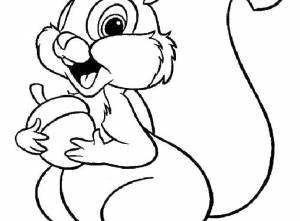 Раскраски белка, Раскраска Белка с желудем Животные