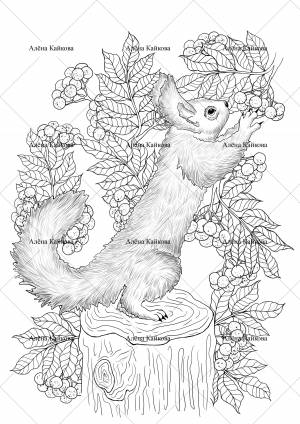 Иллюстрация Раскраска amp;Белка и рябинаamp; в стиле графика