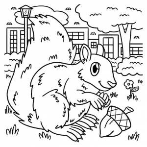Раскраска белка для детей