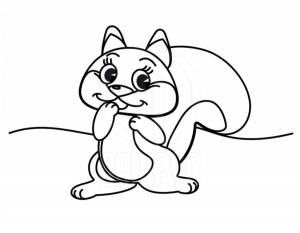 Раскраска Белка