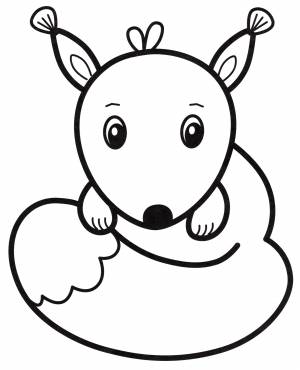 Раскраска Маленький бельчонок