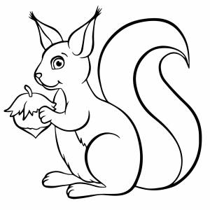 Красивая белочка