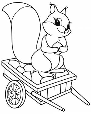 Раскраска Белочка собрала орехи