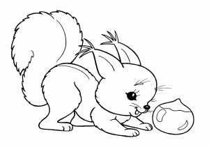 раскраски белка