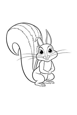 Раскраски бельчонок, poisk