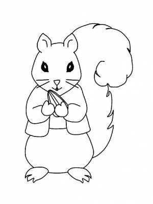 Раскраски Белка, Раскраска Белка ест семечку белочка