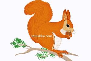 Рисунок белочка на ветке
