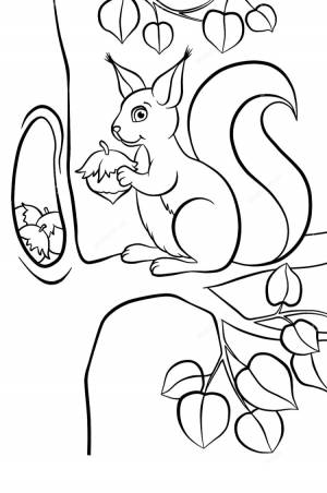 Раскраска белка на дереве