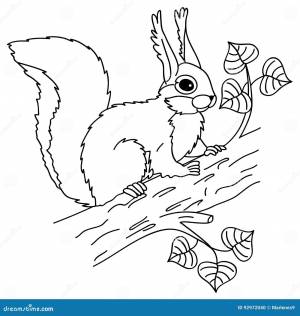 Белка вектора сидя на дереве Иллюстрация вектора