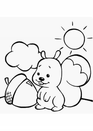 Раскраски, белка животные