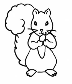 Раскраски Белки, Раскраска Белки на дереве белочка