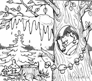 Раскраски Раскраска Белка спит в дупле Животные