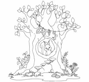 Белка в дупле рисунок