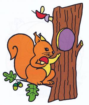Раскраска Белочка и дупло