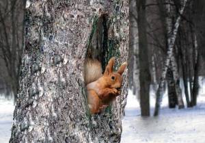 Pin by Dubodelowaa on Оттенки зелёного в интерьере